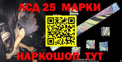 PSILOCYBIN Нальчик