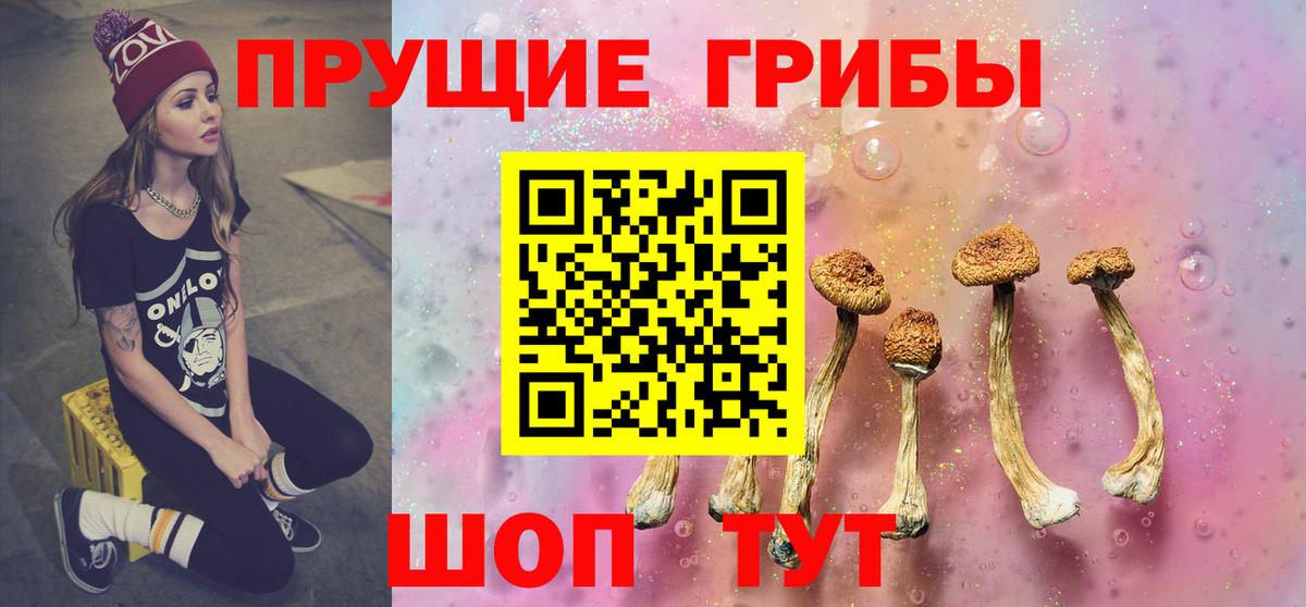 Псилоцибиновые грибы GOLDEN TEACHER Торжок